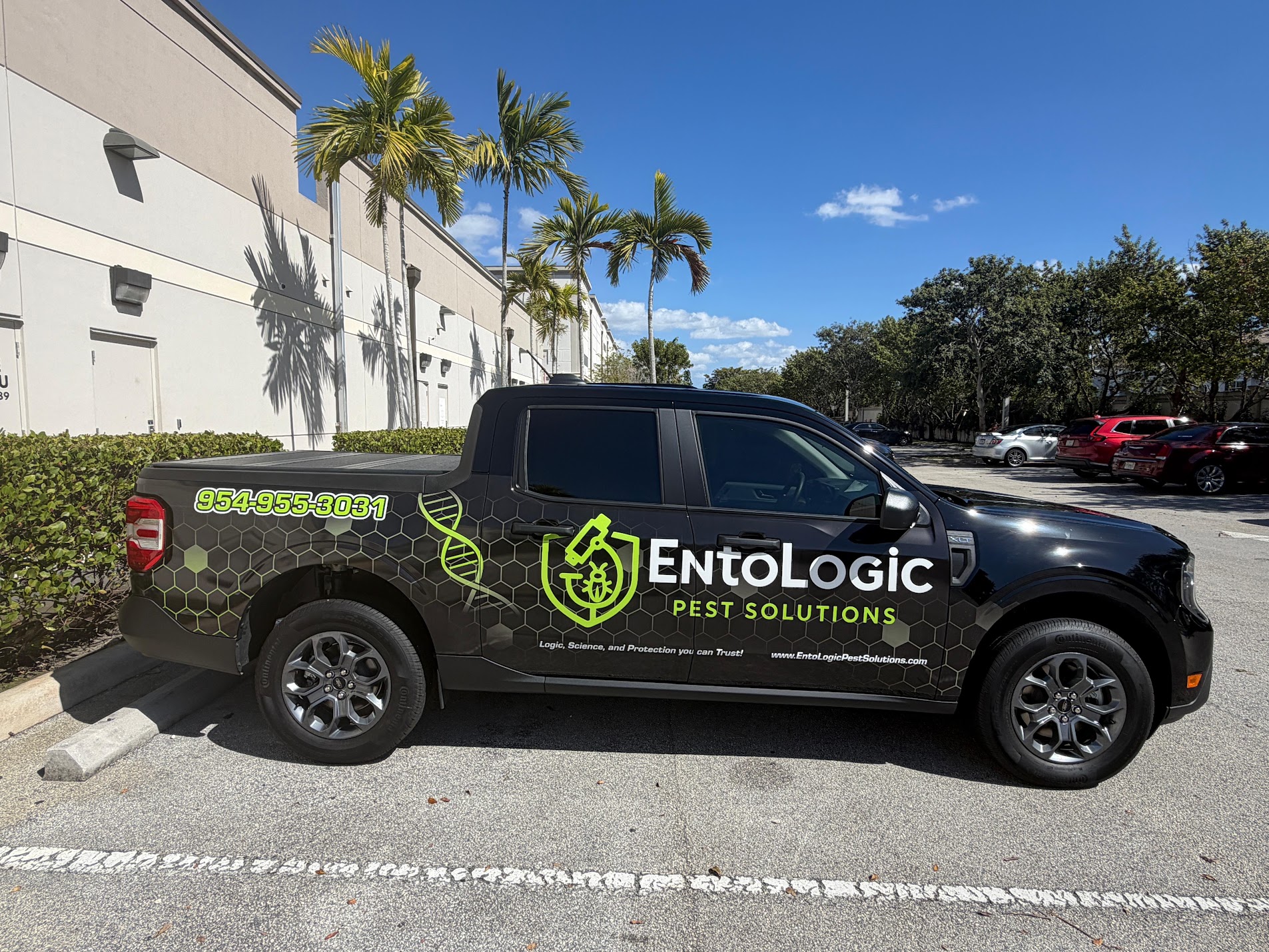 Custom Printed Wrap 5